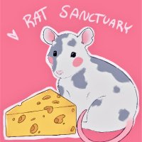 Rat Sanctuary (@ratsanctuaryrs) 's Twitter Profile