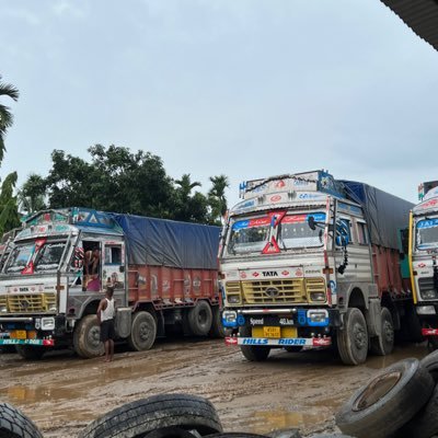 krishnakumar181's profile picture. 👑