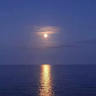 margeoian's profile picture. 