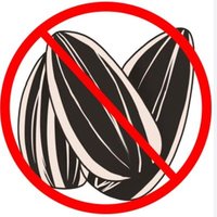 el nombre no puede estar en blanco (@pollocupula) 's Twitter Profile