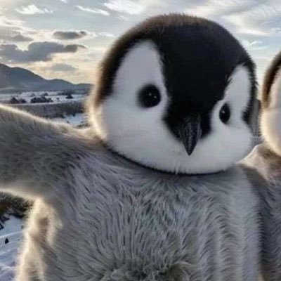 fn_peng1n's profile picture. よろしくお願いします
変人@Zakotankagi