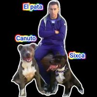 ❤️🇪🇦❤️💪❤️ (@pataratosss) 's Twitter Profile