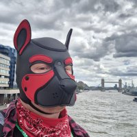 Jax the Pup 🐶 (@pupjax14) 's Twitter Profile Photo