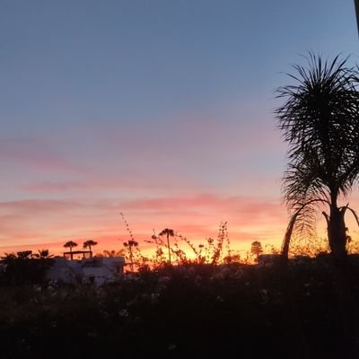 Aminee____'s profile picture. 