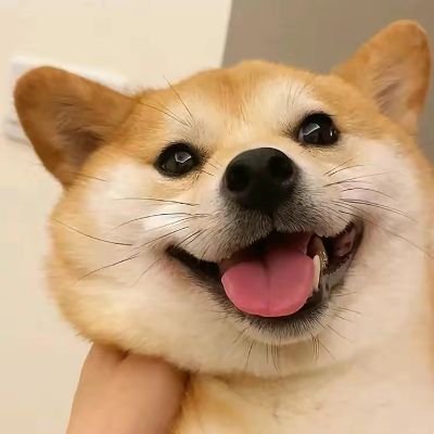 YongWishw's profile picture. 