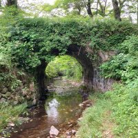 keda (@kedama_mocomoco) 's Twitter Profile