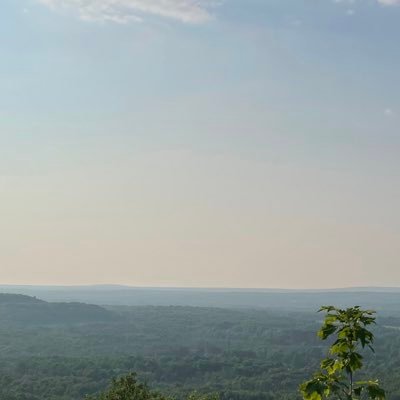 shelbs444's profile picture. 