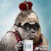 Social Kongs - MINT IS LIVE Profile picture