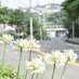 A-TRR.Line_3955 (@3955_trr) Twitter profile photo A-TRR.Line_3955 (@3955_trr) Twitter profile photo