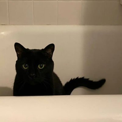 hi