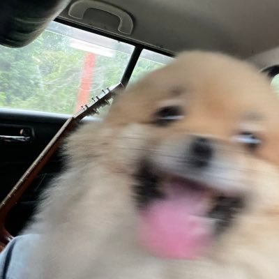 MilkUNCHI's profile picture. new chapter⏸️ (same me)