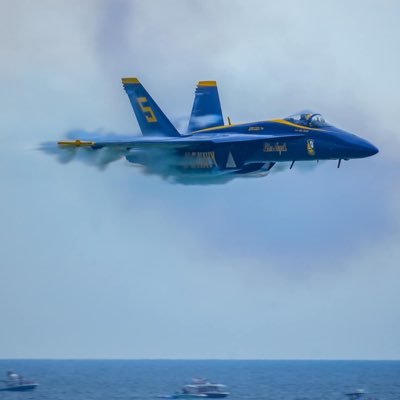 SNFVolunteers's profile picture. 