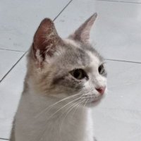 bers (@_bearli) 's Twitter Profile