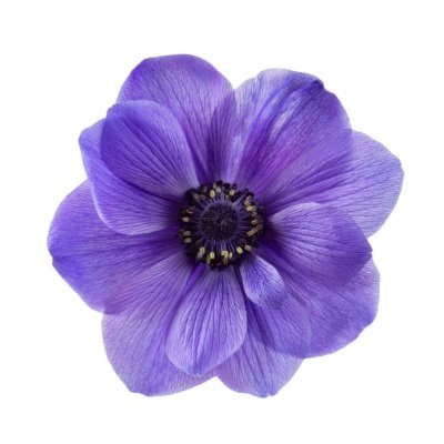 huuungry's profile picture. ...