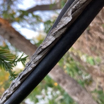 DGnitty's profile picture. Calabama.