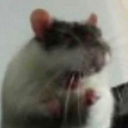 itsletix's profile picture. no sé rick