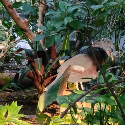 nxxxkkh's profile picture. 釣りしてます。