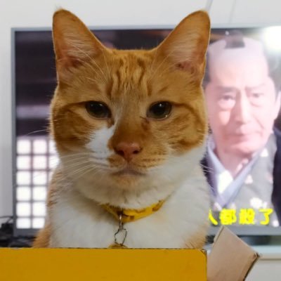 ShannonDEさんのプロフィール画像