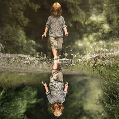 bobbanroxy's profile picture. 