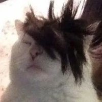 Alistair:3 (@nagitomreow) 's Twitter Profile