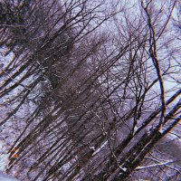あめ (@rain_ame1) Twitter profile photo