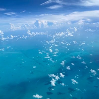 Lynhughes's profile picture. Looking up. Looking ahead.