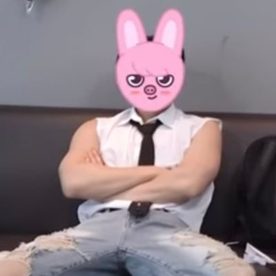 🐖ビニのビニパンの中に住みたい人🐇… /StrayKids/ 🐖🐇♡/🍕/📦推し/👩🏻’98STAY/同担も歓迎です♡