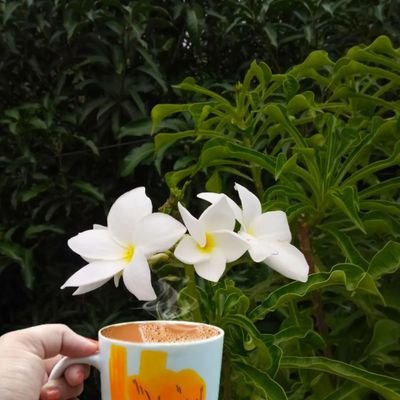 zaviiaxavi's profile picture. follow for follow back 💯🔙