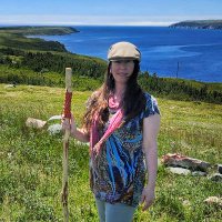 ECHO IRISH LOOP NL 🇨🇦🍀(@Trepassey_NL) 's Twitter Profile Photo