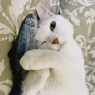 Mofrustluck4's profile picture. 