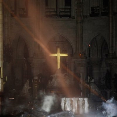 BELRe260791's profile picture. 