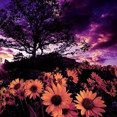 Nairef3's profile picture. 