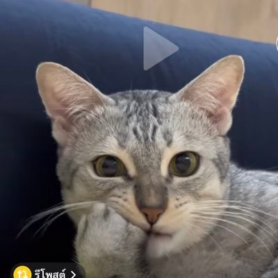 Boatmethatmt's profile picture. 00.00 Sleeping Time😴😴 ll UP 114 ll ACCYTU ll