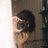 _issycart's profile image