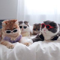 .jgj (@jiewliewnjiggo) 's Twitter Profile