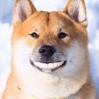 EstateDoge (@estatedoge) Twitter profile photo