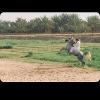 هادي ال جماهر (@hadi4310) 's Twitter Profile