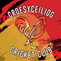 Croesyceiliog CC 🏏 (@croesycc) 's Twitter Profile