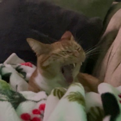 jadebbb5's profile picture. 