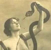 PawtonSanders's profile picture. 💛 Admin is not a minor 💛