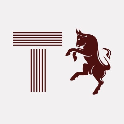 Profilo Twitter di Tutto il Toro. Notizie e Live Match delle partite del Torino F.C.