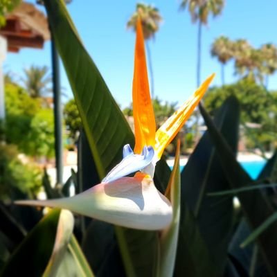 dragoon_enjoyer's profile picture. Skrajne Centrum 
Raków&Barca❤️💙
♟️
#TakdlaCPK