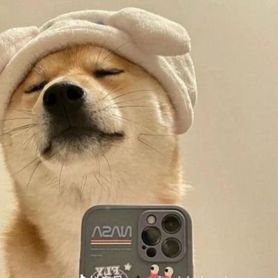 HppayV's profile picture. 