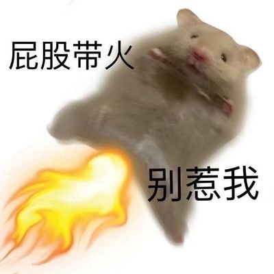 lonegeer's profile picture. 三只猫