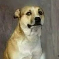 vmhdvm (@vmhdvm) 's Twitter Profile