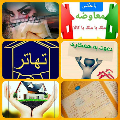 KalaTahato65376's profile picture. 