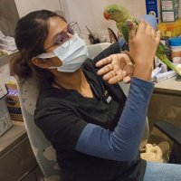 Dr Kiran saini (@drkiransai365) 's Twitter Profile