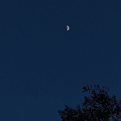 pantyen's profile picture. 