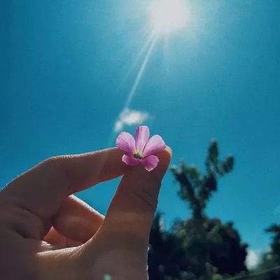 Ana289264121479's profile picture. 