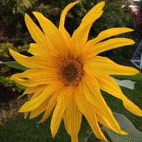 EmmyC (@emmyc27183249) 's Twitter Profile